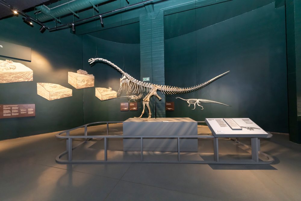 Kgodumodumo Dinosaur Centre 25.11.2025-107