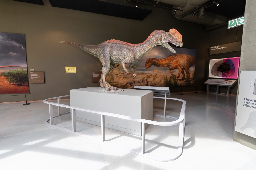 Kgodumodumo Dinosaur Centre 25.11.2025-111