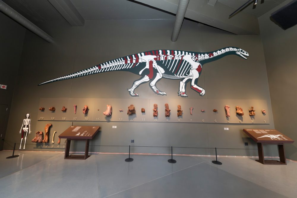 Kgodumodumo Dinosaur Centre 25.11.2025-116