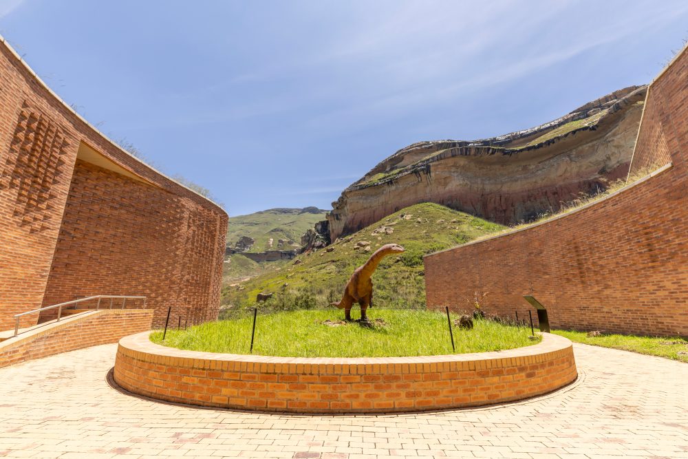 Kgodumodumo Dinosaur Centre 25.11.2025-21