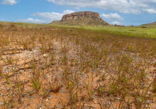 Silasburg South African War Site