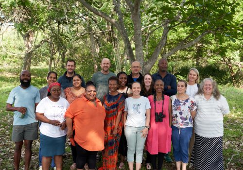 Synthesizing the State of Knowledge for Kruger National Park