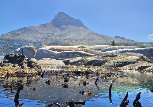 Extreme ocean temperature events in South African Marine Protected Areas