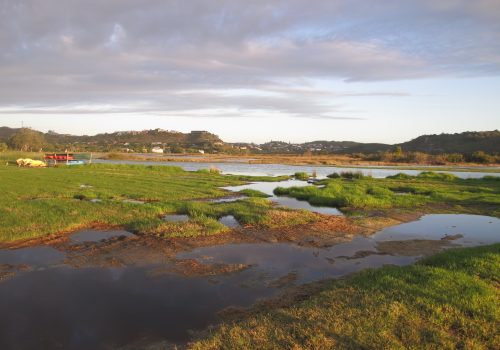 When Estuaries Breathe: Understanding South Africa’s Temporarily Open/Closed Estuaries