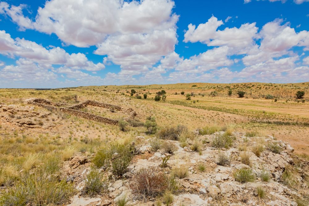SANPARKS - Kgalagadi - Auchterlonie-Jaggers Home-260217-56