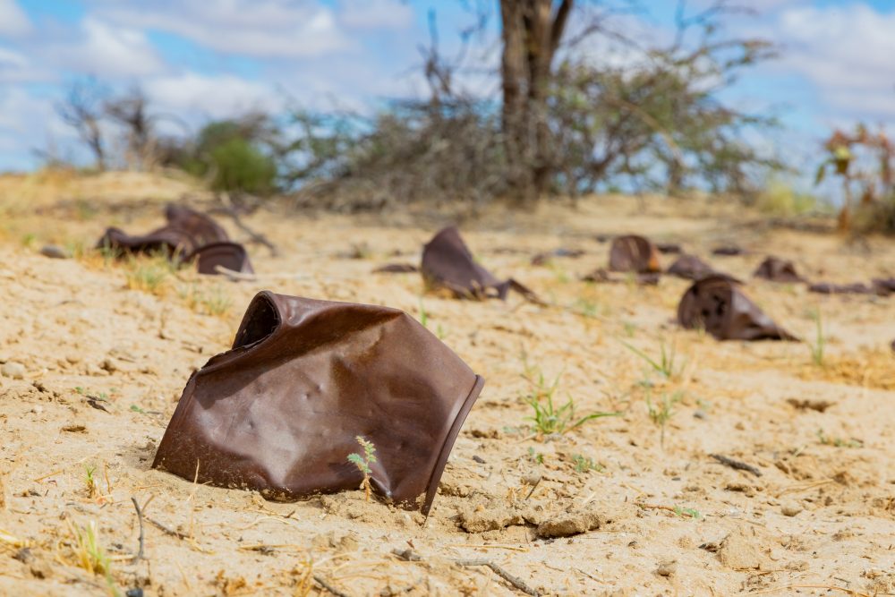 SANPARKS - Kgalagadi - Groot Kolk-260216-20