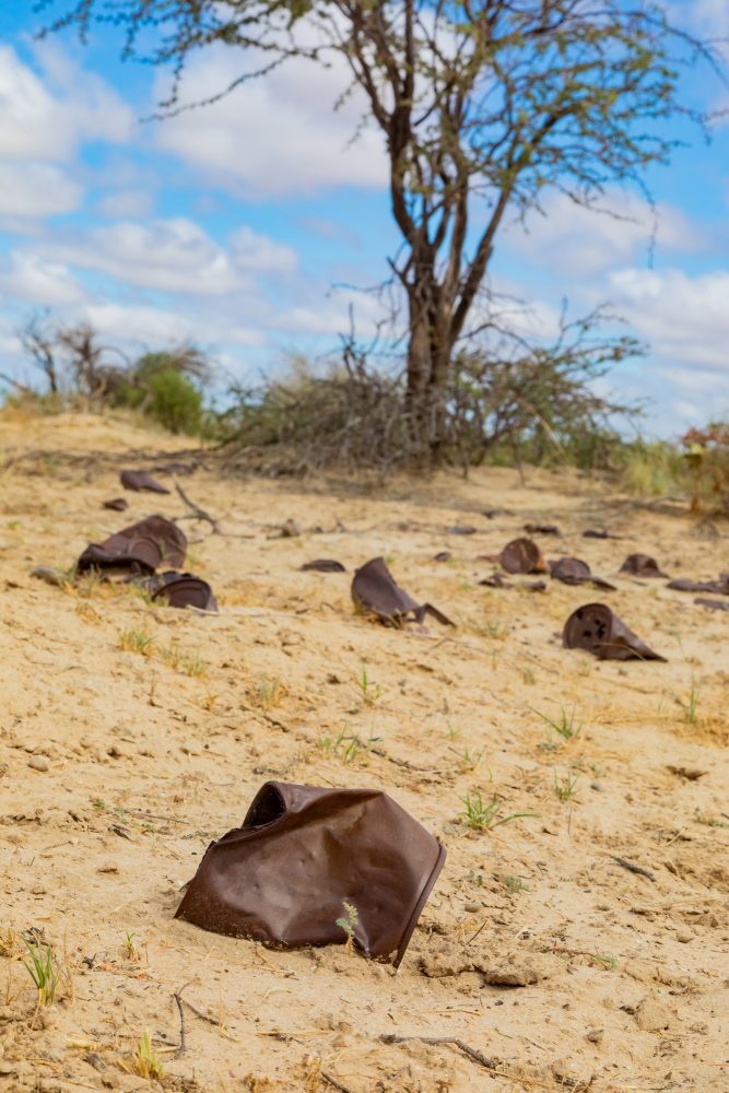 SANPARKS - Kgalagadi - Groot Kolk-260216-23