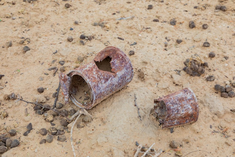 SANPARKS - Kgalagadi - Groot Kolk-260216-42