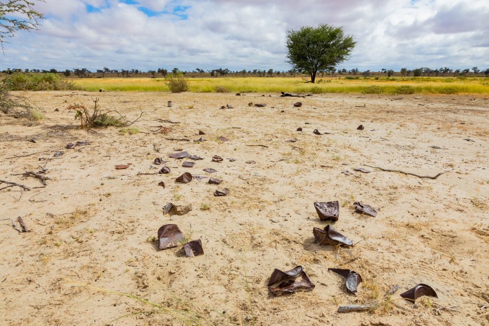 SANPARKS - Kgalagadi - Groot Kolk-260216-47