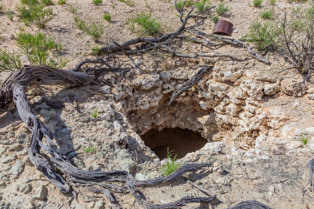 SANPARKS - Kgalagadi - Kameelsleep Well-260217-13