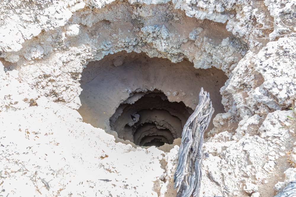 SANPARKS - Kgalagadi - Kameelsleep Well-260217-16