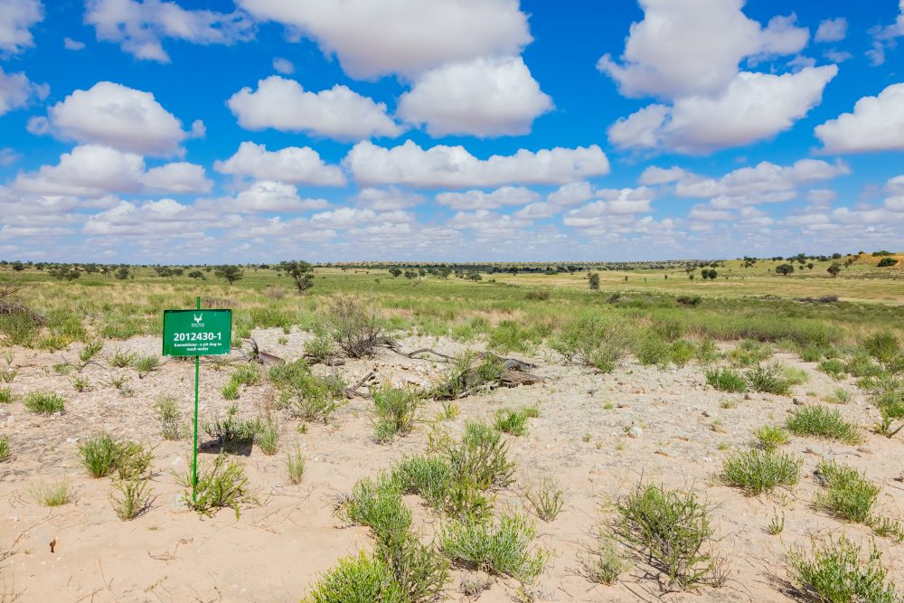 SANPARKS - Kgalagadi - Kameelsleep Well-260217-3