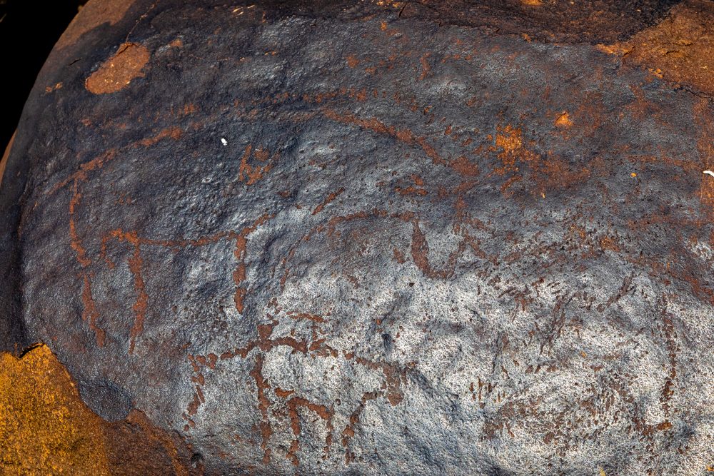 SANPARKS - Mokala - Doorn Laagte Petroglyph 1-260219-11