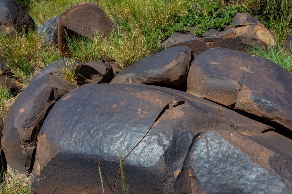 SANPARKS - Mokala - Doorn Laagte Petroglyph 1-260219-18