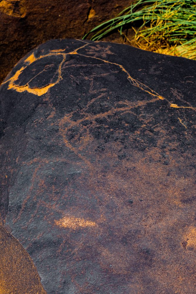 SANPARKS - Mokala - Doorn Laagte Petroglyph 1-260219-20