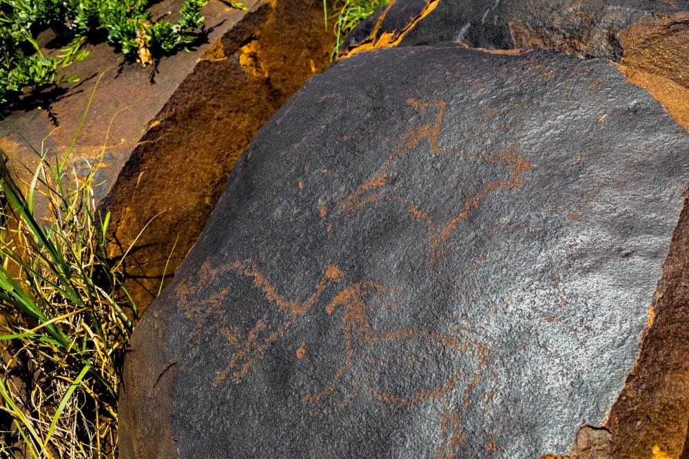 SANPARKS - Mokala - Doorn Laagte Petroglyph 1-260219-26