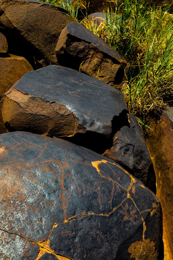 SANPARKS - Mokala - Doorn Laagte Petroglyph 1-260219-29