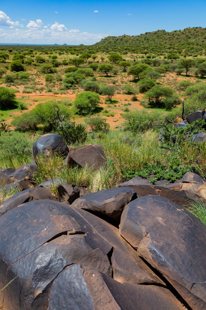 SANPARKS - Mokala - Doorn Laagte Petroglyph 1-260219-33