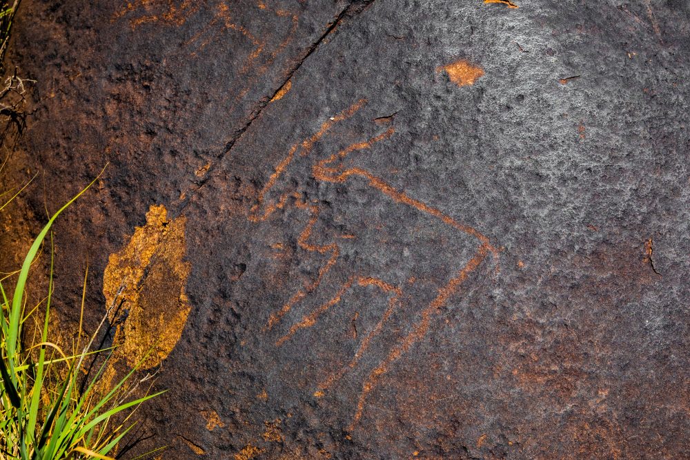 SANPARKS - Mokala - Doorn Laagte Petroglyph 1-260219-40