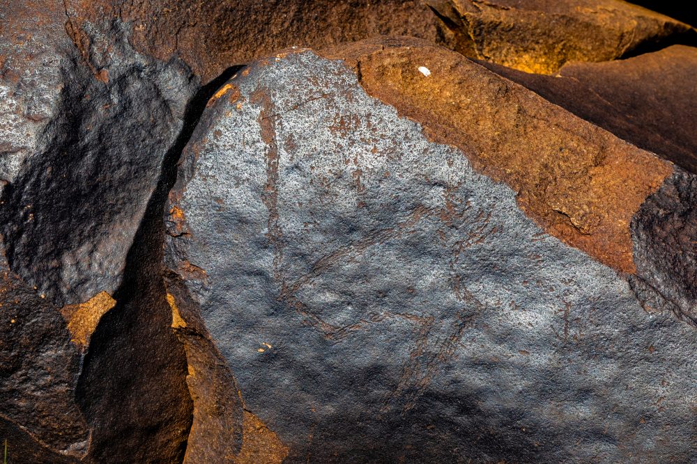 SANPARKS - Mokala - Doorn Laagte Petroglyph 1-260219-9