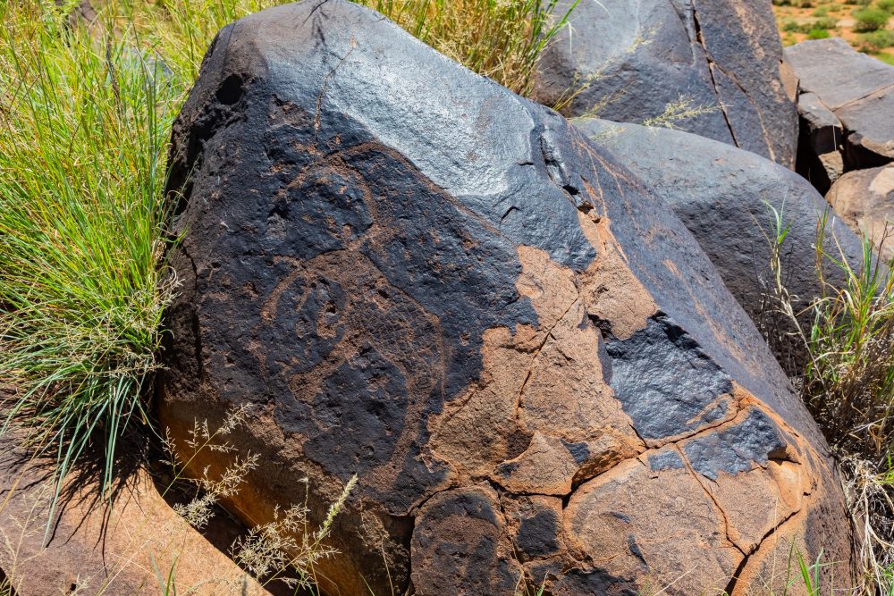 SANPARKS - Mokala - Doorn Laagte Petroglyph 2-260219-11