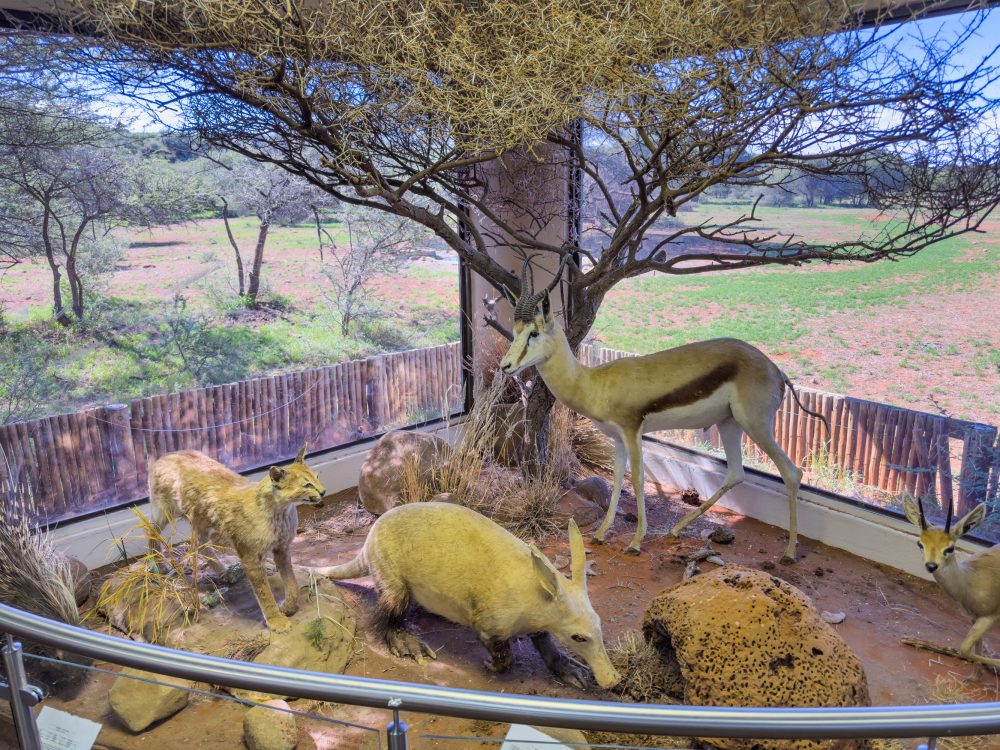 SANPARKS - Mokala - Mokala Interpretation Centre-260219-27
