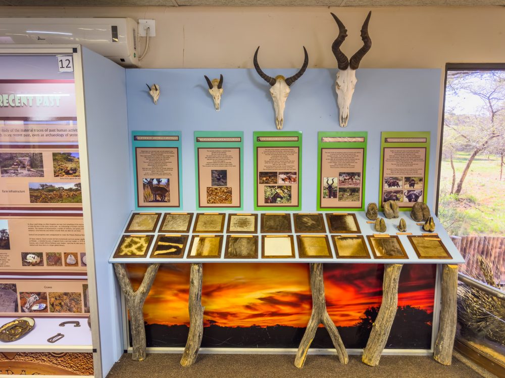 SANPARKS - Mokala - Mokala Interpretation Centre-260219-33