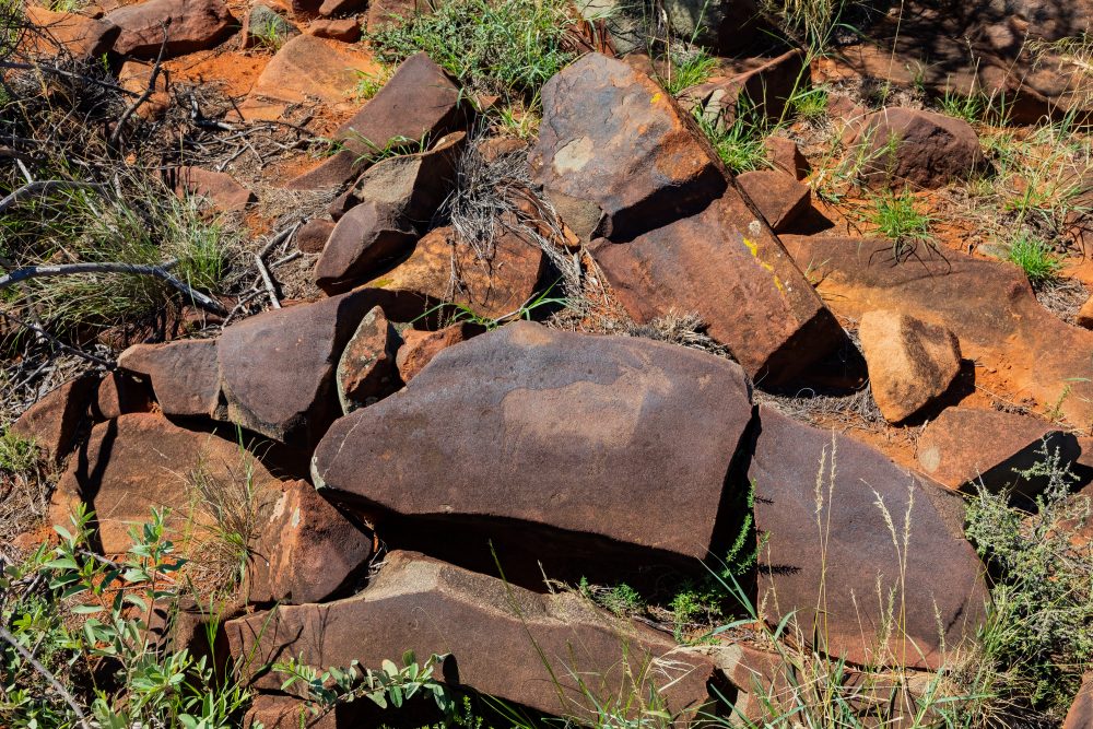 SANPARKS - Mokala - Scholtz Fontein North - Kameel Doorns Petroglyph-260219-3
