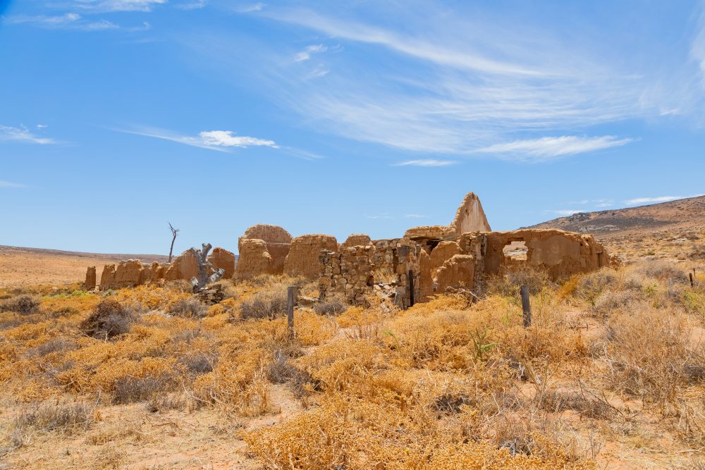 SANPARKS - Namaqua NP - Kookfontein Ruins-260203-15