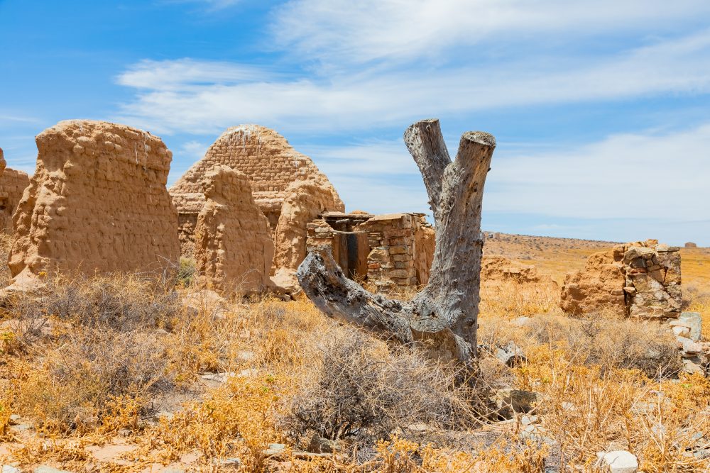 SANPARKS - Namaqua NP - Kookfontein Ruins-260203-34
