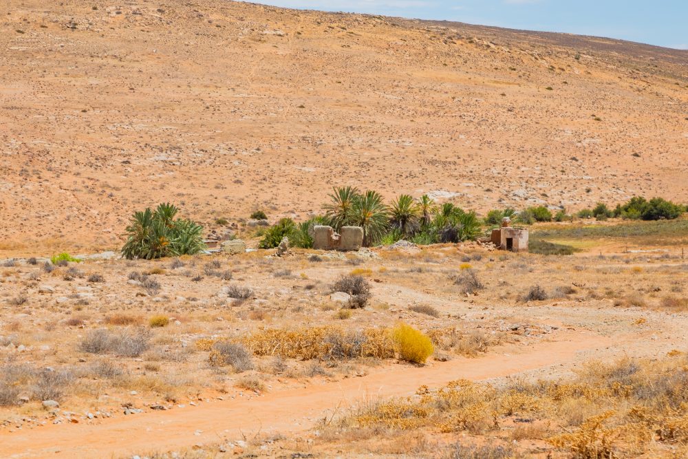 SANPARKS - Namaqua NP - Kookfontein Ruins-260203-7