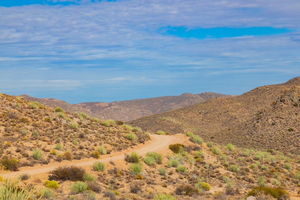 SANPARKS - Namaqua NP - Wildeperdhoek Pass-260203-3