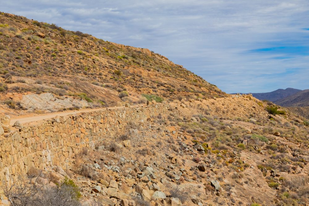 SANPARKS - Namaqua NP - Wildeperdhoek Pass-260203-31