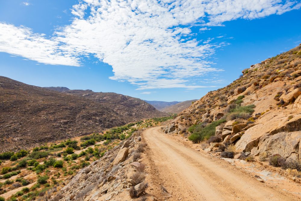 SANPARKS - Namaqua NP - Wildeperdhoek Pass-260203-35