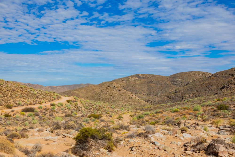 SANPARKS - Namaqua NP - Wildeperdhoek Pass-260203-5