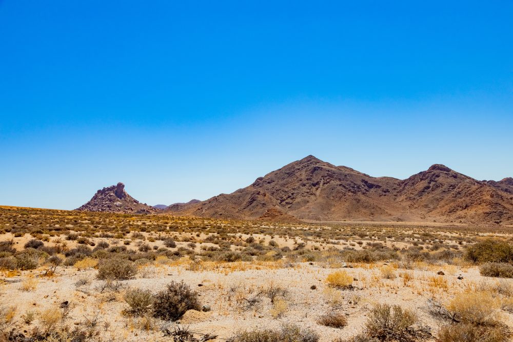 SANPARKS - Richtersveld - Die Toon-260207-21