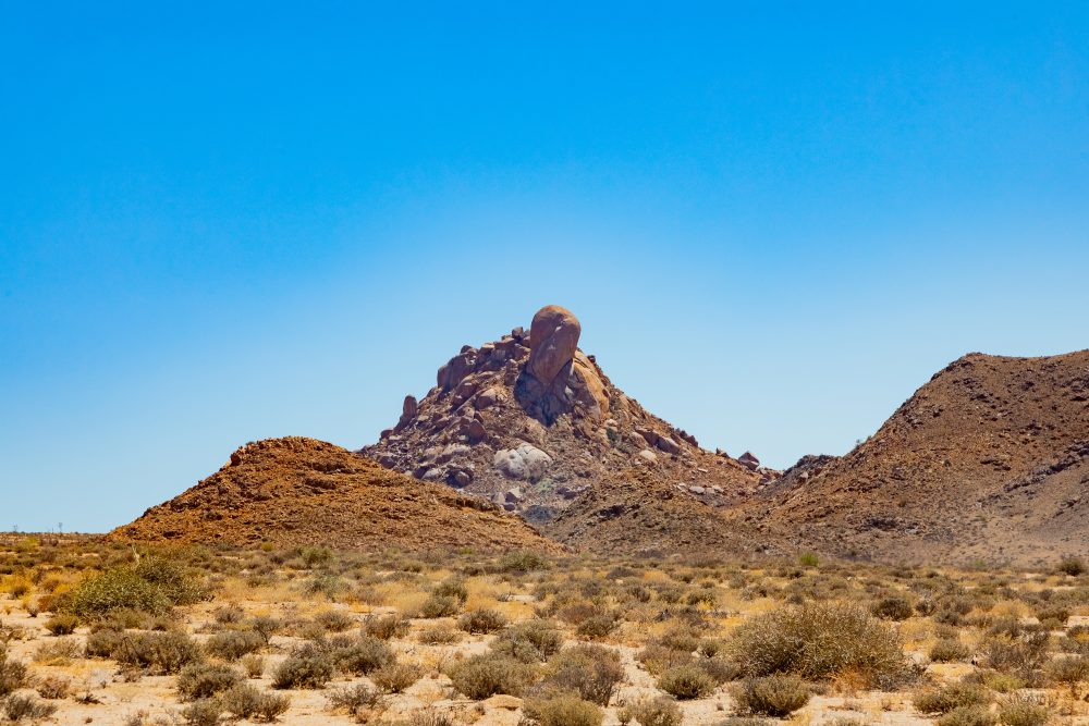 SANPARKS - Richtersveld - Die Toon-260207-23