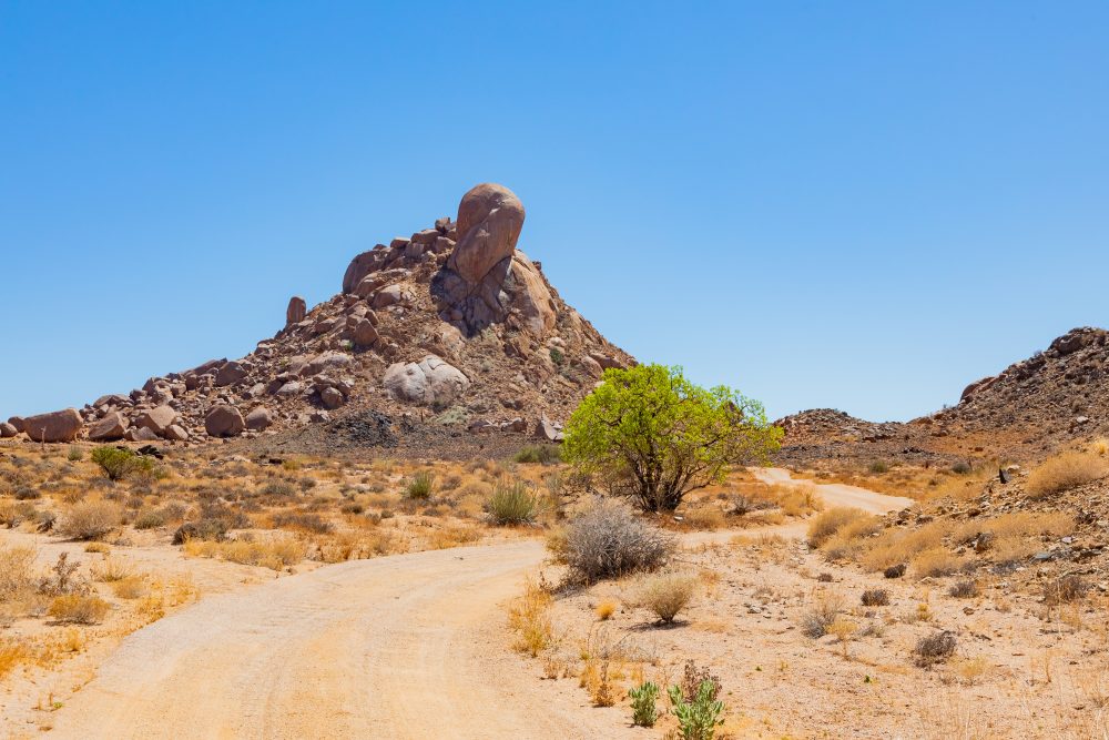 SANPARKS - Richtersveld - Die Toon-260207-33