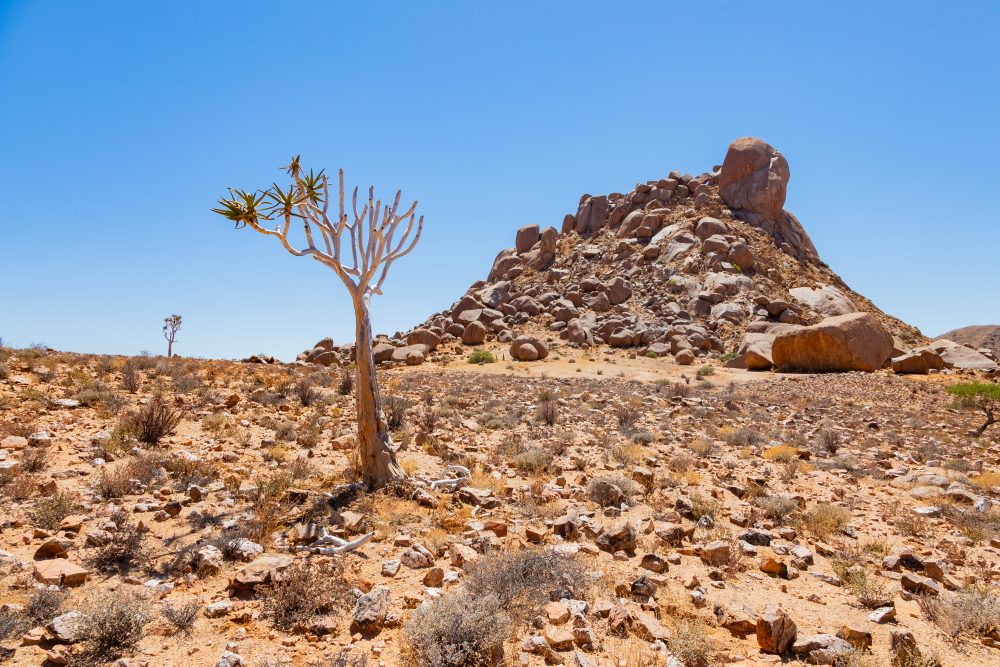 SANPARKS - Richtersveld - Die Toon-260207-50