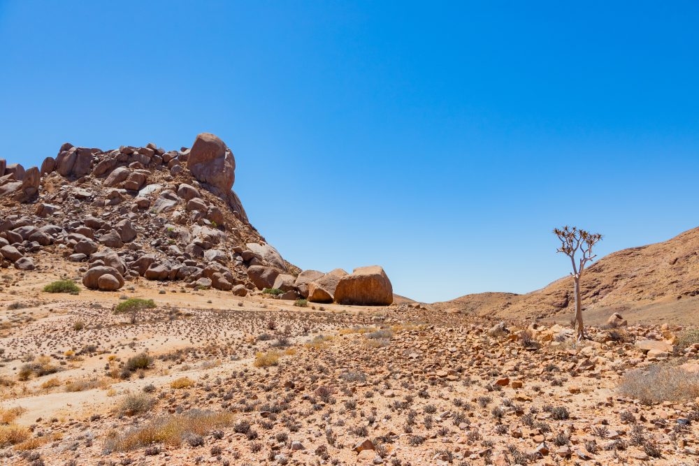 SANPARKS - Richtersveld - Die Toon-260207-57