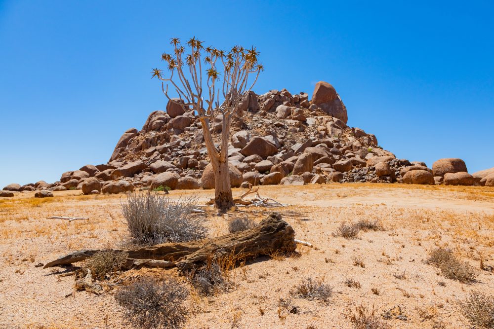 SANPARKS - Richtersveld - Die Toon-260207-62