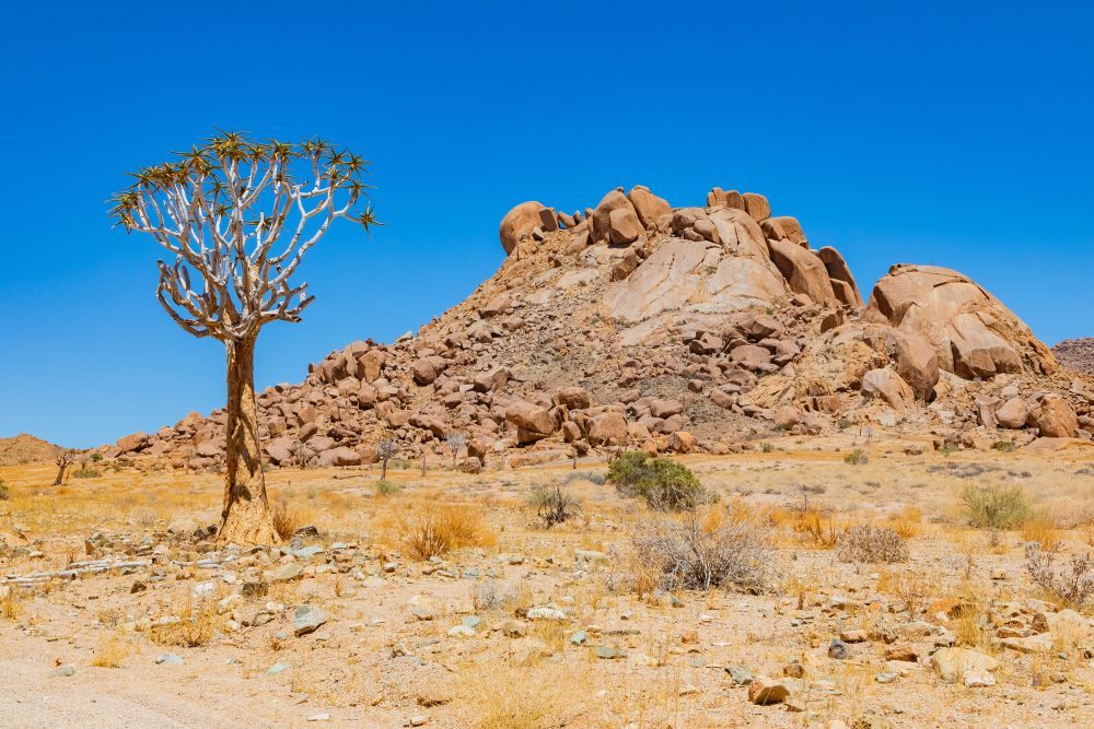 SANPARKS - Richtersveld - Die Toon-260207-67