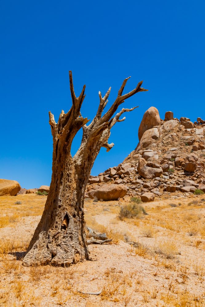 SANPARKS - Richtersveld - Die Toon-260207-76