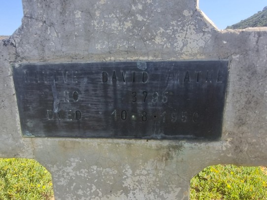 Darlington Graves_1