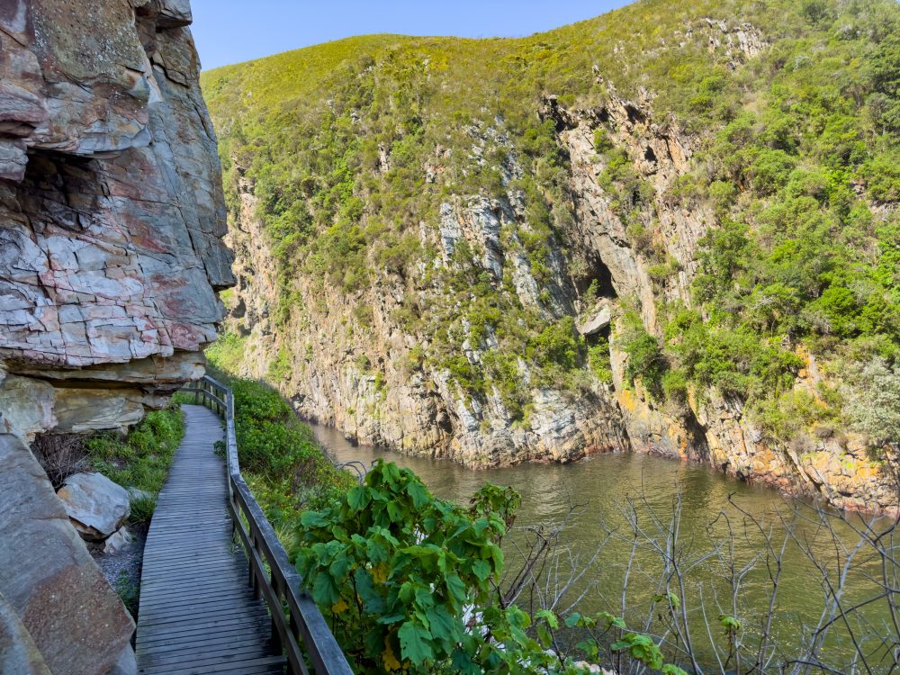 SANPARKS - Garden Route NP - EXTRAS - Storms River Mouth - Cave -North-251013-7