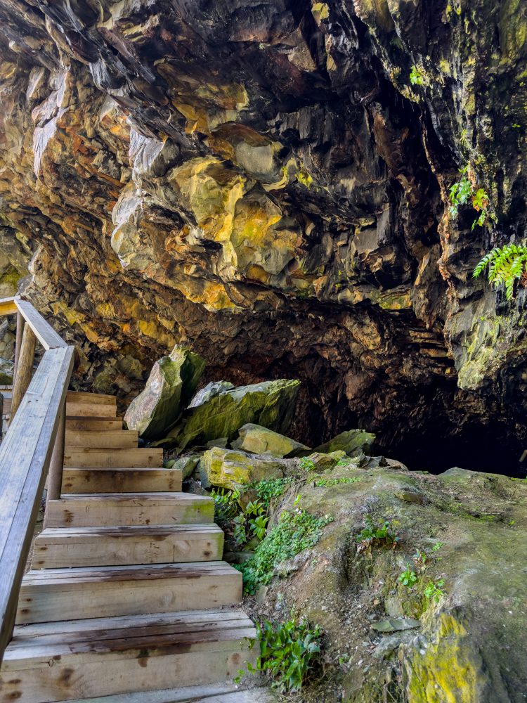 SANPARKS - Garden Route NP - EXTRAS - Storms River Mouth - Cave - South-251013-14