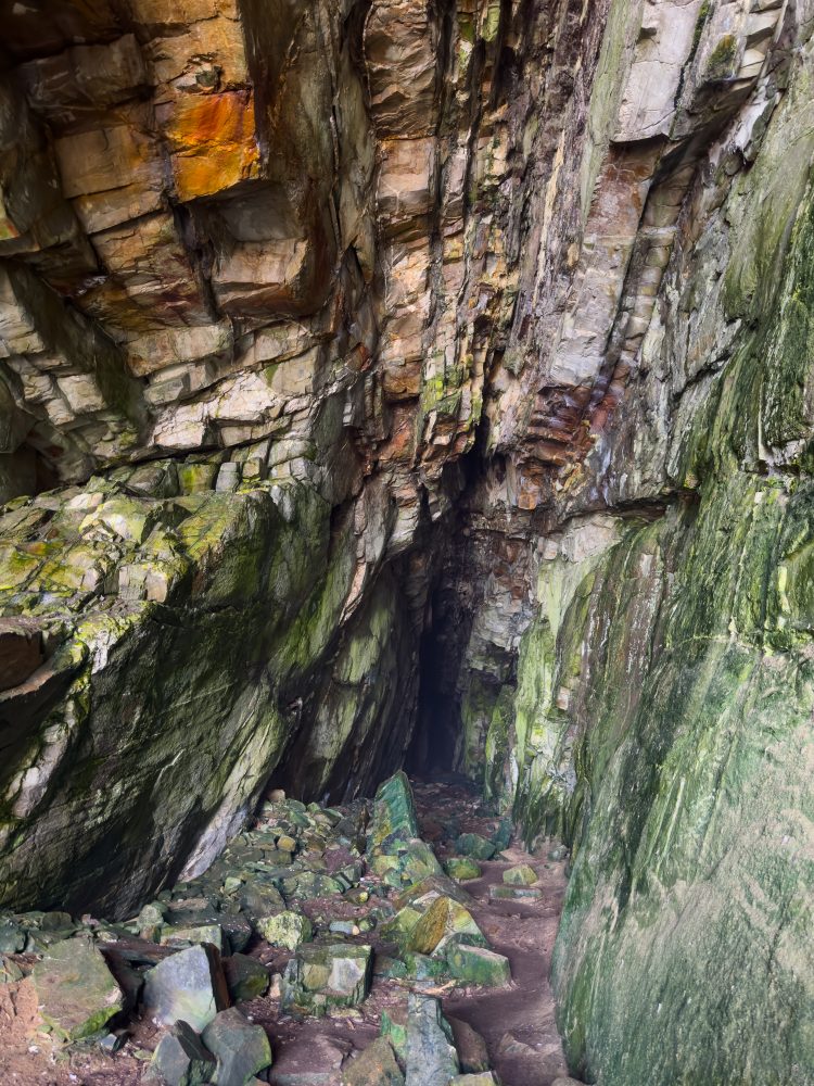 SANPARKS - Garden Route NP - EXTRAS - Storms River Mouth - Guano Cave - Otter Trail-251013-10