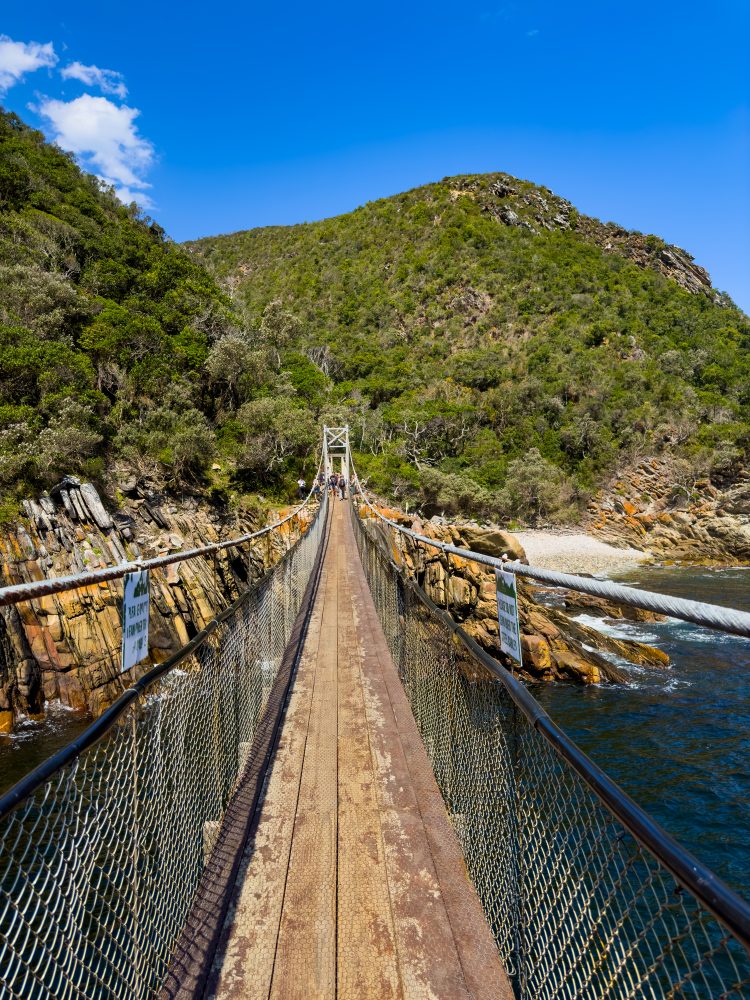 SANPARKS - Garden Route NP - EXTRAS - Storms River Mouth - Suspension Bridge-251013-31