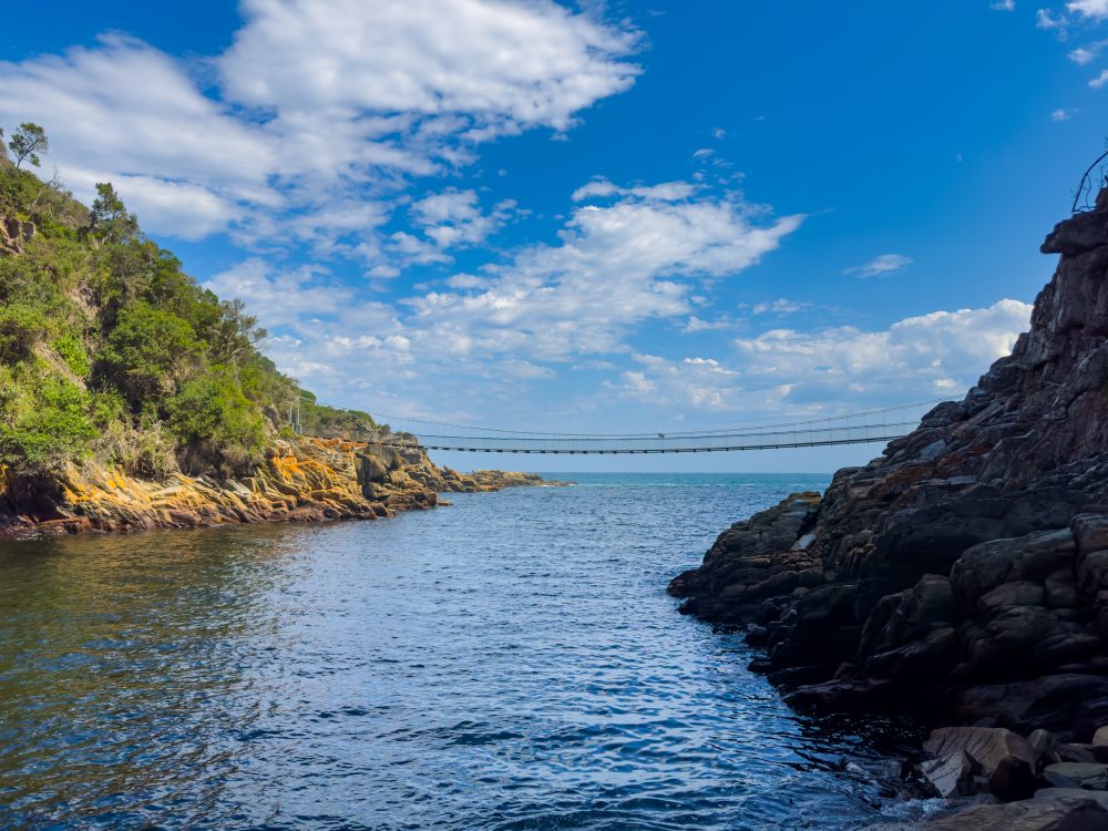 SANPARKS - Garden Route NP - EXTRAS - Storms River Mouth - Suspension Bridge-251013-41