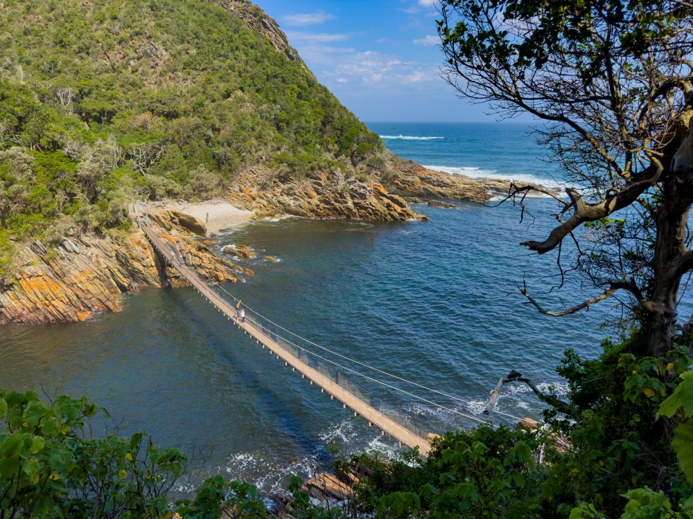 SANPARKS - Garden Route NP - EXTRAS - Storms River Mouth - Suspension Bridge-251013-54